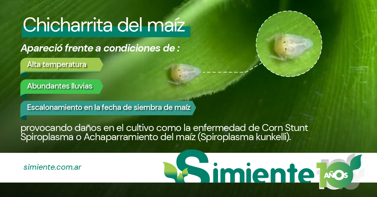 SIMIENTE_SA tweet media