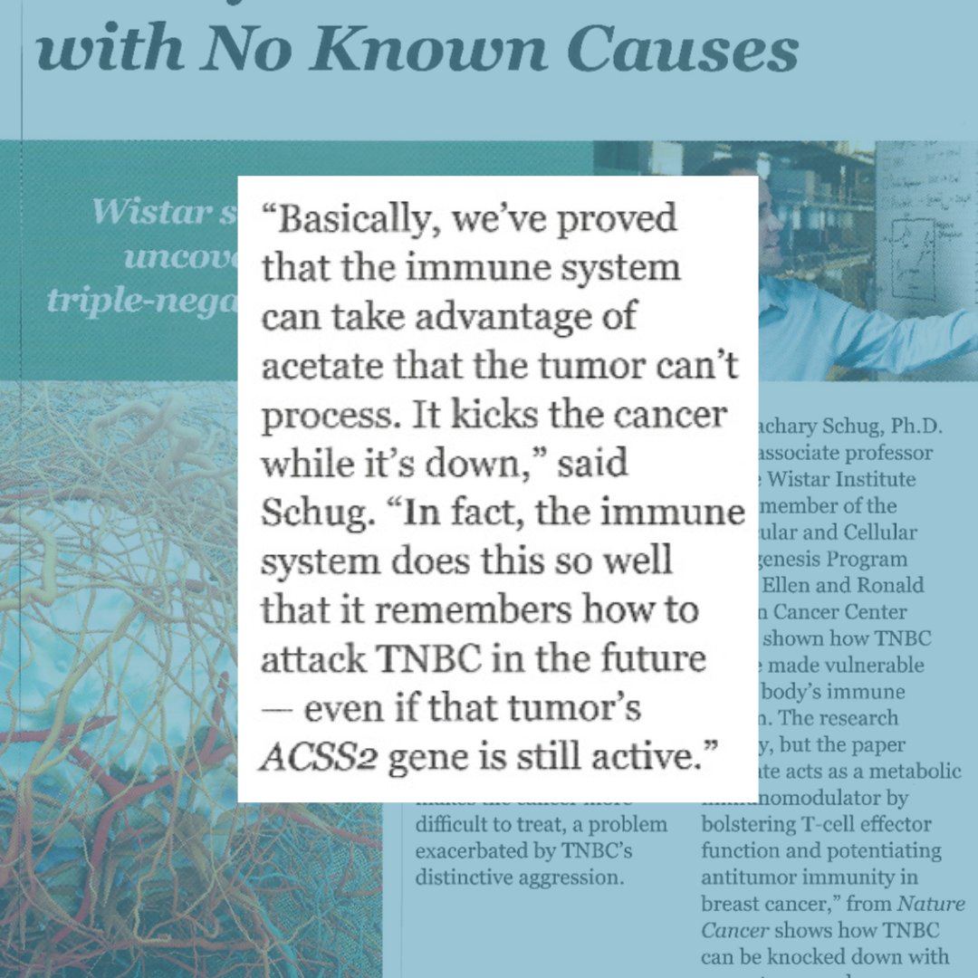 The V Foundation for Cancer Research (@thevfoundation) on Twitter photo We are proud of the work one of our grantees, <a href="/SchugLab/">Schug Lab</a>, is doing <a href="/TheWistar/">The Wistar Institute</a> for breast cancer research. They've proven that the immune system can help kick Triple Negative Breast Cancer out! While still early, Our CSO, Dr. <a href="/susannagreer/">Susanna F. Greer, Ph.D.</a>, puts it into perspective! We are proud of the work one of our grantees, <a href="/SchugLab/">Schug Lab</a>, is doing <a href="/TheWistar/">The Wistar Institute</a> for breast cancer research. They've proven that the immune system can help kick Triple Negative Breast Cancer out! While still early, Our CSO, Dr. <a href="/susannagreer/">Susanna F. Greer, Ph.D.</a>, puts it into perspective!