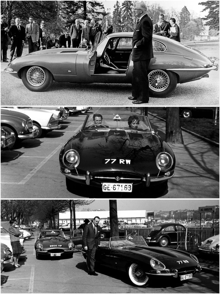 Stars and Cars tweet media