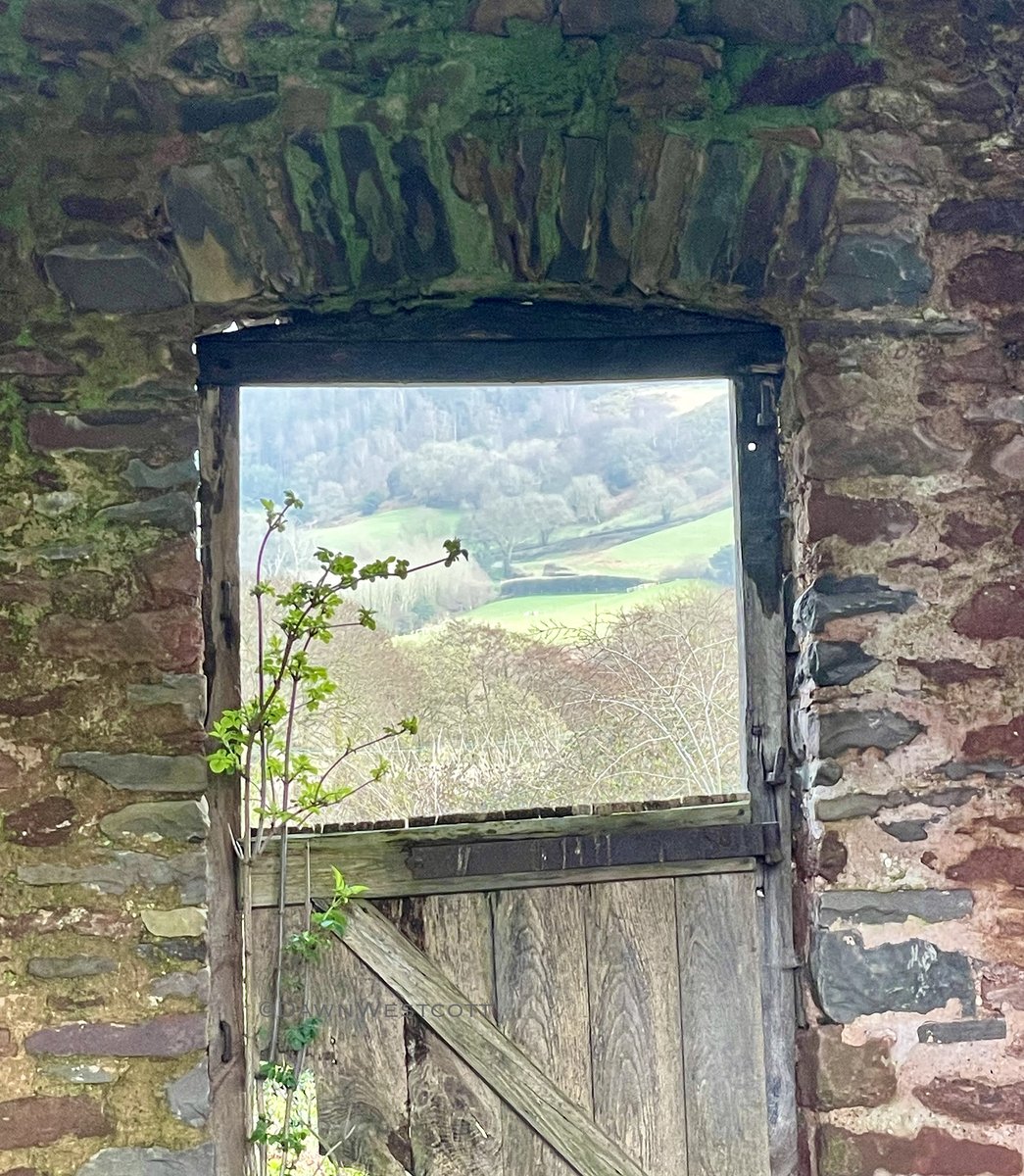 Just one of those moments where you turn around and see a view like this 💚 @ExmoorNP @ExmoorNPCs @PorlockVC @visitexmoor @ExmoorMagazine @ExmoorSociety @ExmoorwithJack @ExmoorCompost @NTSouthWest #exmoor #porlockvale #countryliving