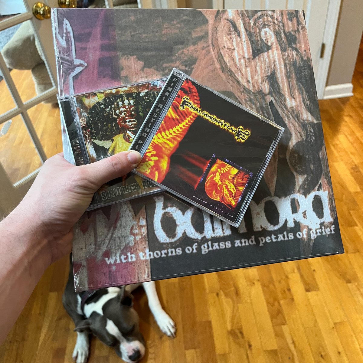 Dope as fuck mail day 
——
<a href="/DAZE_STYLE/">lmaoooo</a> 
<a href="/4Ephyra/">Ephyra</a> 
<a href="/BalmoraCTHC/">Balmora</a> 
<a href="/suntouchhouse/">SUNTOUCH HOUSE</a> 
Final FUCKING Resting Place