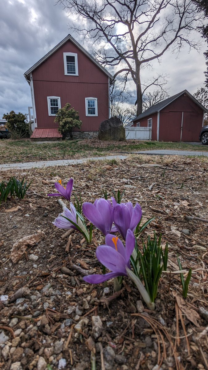 JonesFamilyFarm's tweet image. Spring is arriving a bit early!