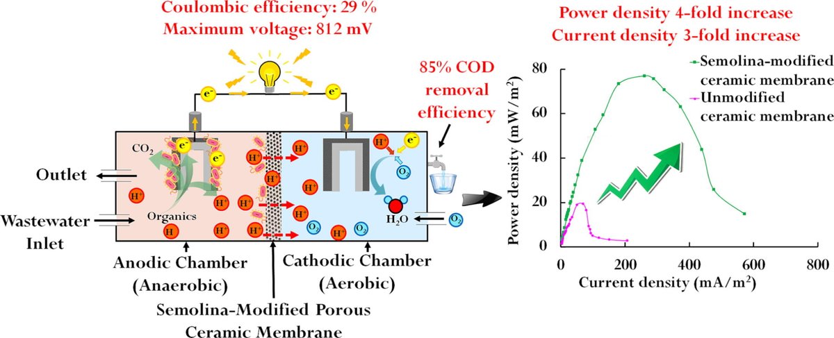 KermanLabUTSC's tweet image. Durum wheat semolina-modified ceramic membranes as novel porous separators for enhanced power generation and wastewater remediation using microbial fuel cell, Patel et al., Bioresource Technology, Volume 361, October 2022, 127752 #TBT 
sciencedirect.com/science/articl…