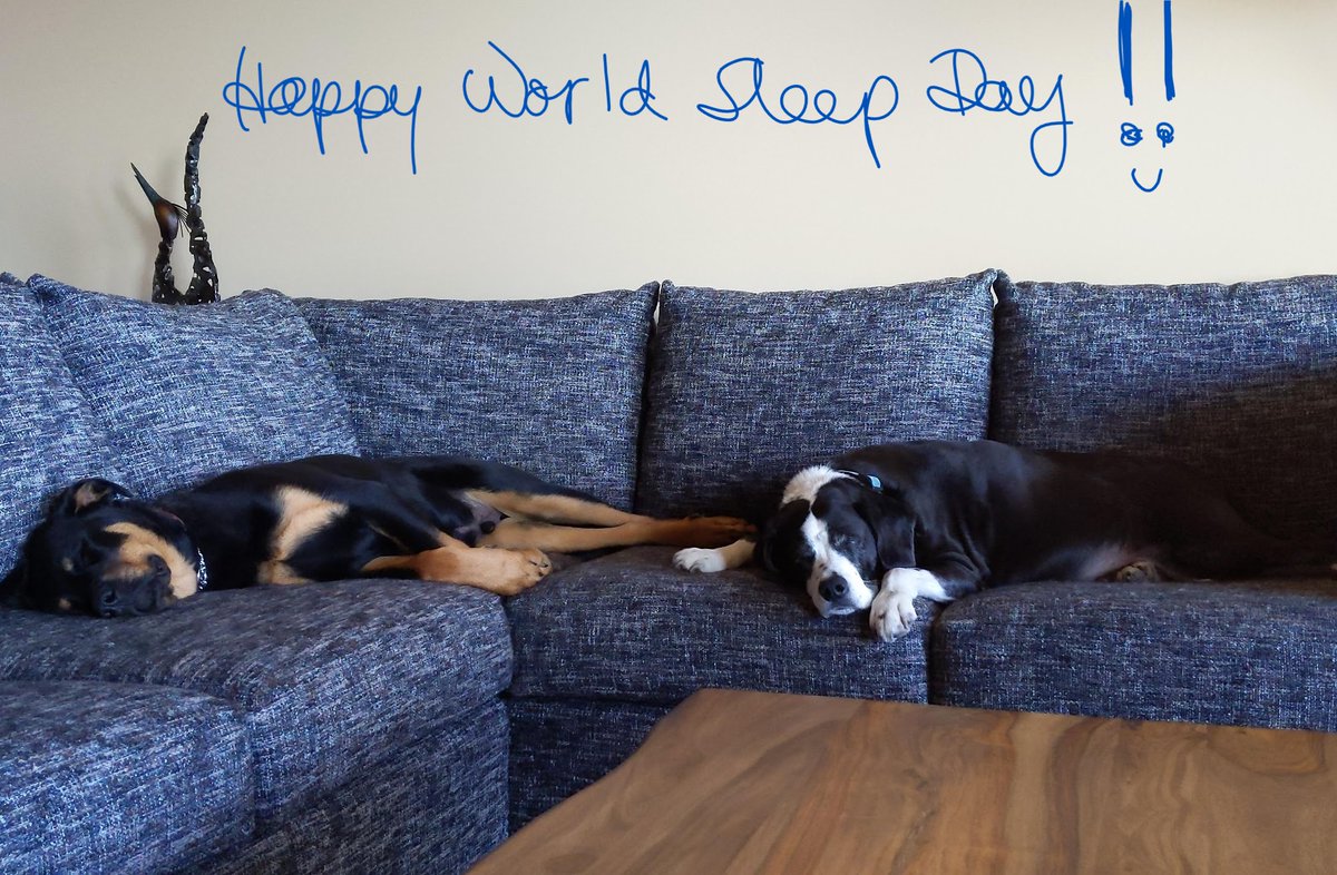ComSleepCoach's tweet image. All creatures enjoy a good #snooze. #WorldSleepDay  #WorldSleepDay2024 #sleep #sleephealth #sleepmedicine #Canada #Kelowna #canine