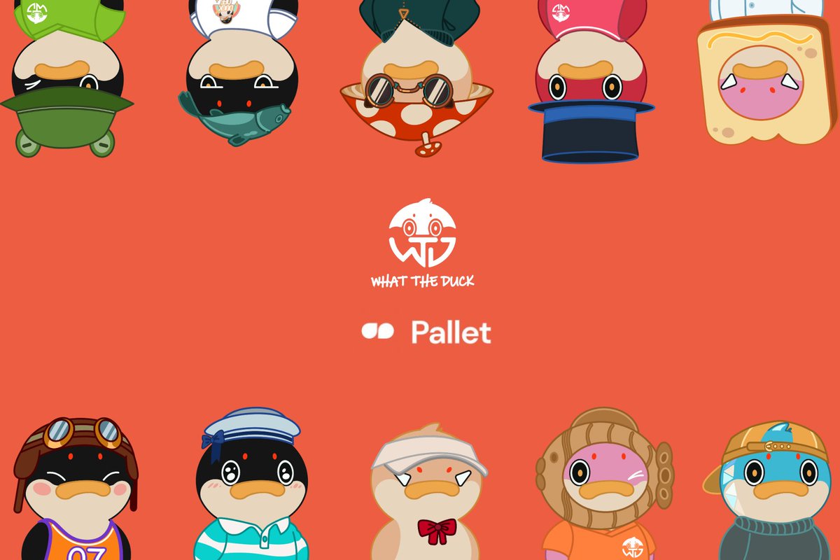 What The Duck tweet media