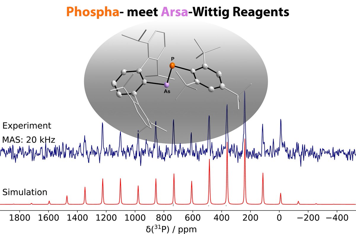 What happens if you combine phospha- and arsa-Wittigs? You make arsaphosphenes. Now out in @ChemPlusChem Thanks to the Corzilius group for solid state NMR, Henrik, @siewert_jan and @FiMalte for wrapping this up! @likat_rostock @31P_NMR #phosphorus …mistry-europe.onlinelibrary.wiley.com/doi/abs/10.100…