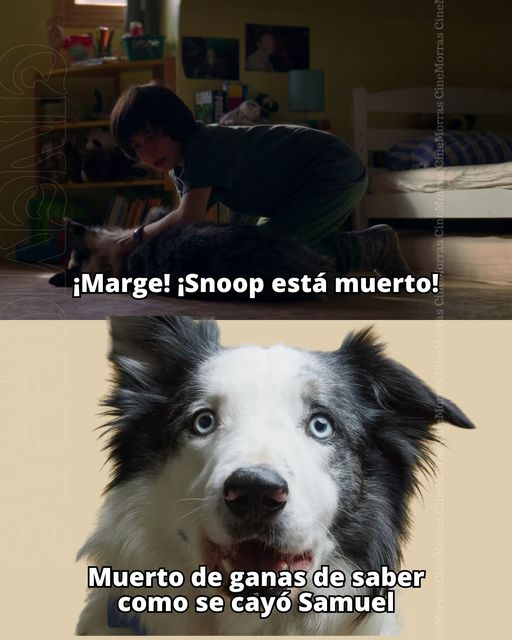 rebecajc's tweet image. LOL.