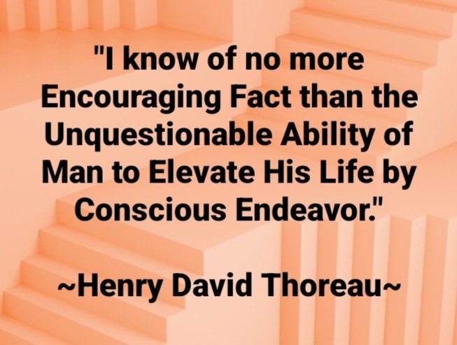 OluwatoyinAlad7's tweet photo. #life #elevate #unquestionable #conscious #consiousness #endeavor #HenryThoreau #JESULOBA #GODALMIGHTYRulesOverAll https://t.co/hJb3ptXWMh