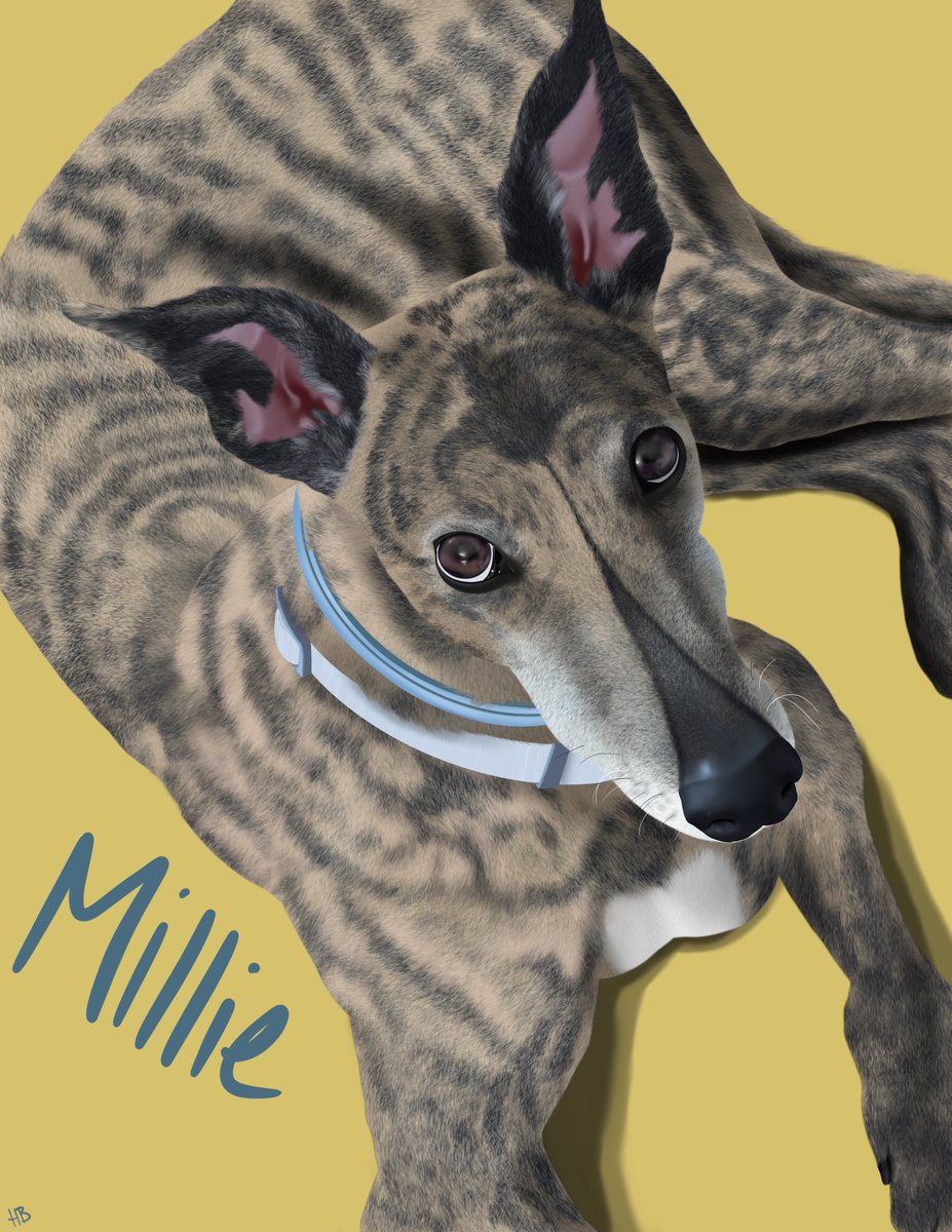 Oh hey! I’m taking commissions for drawings again, dm me on here or email me to arrange one!