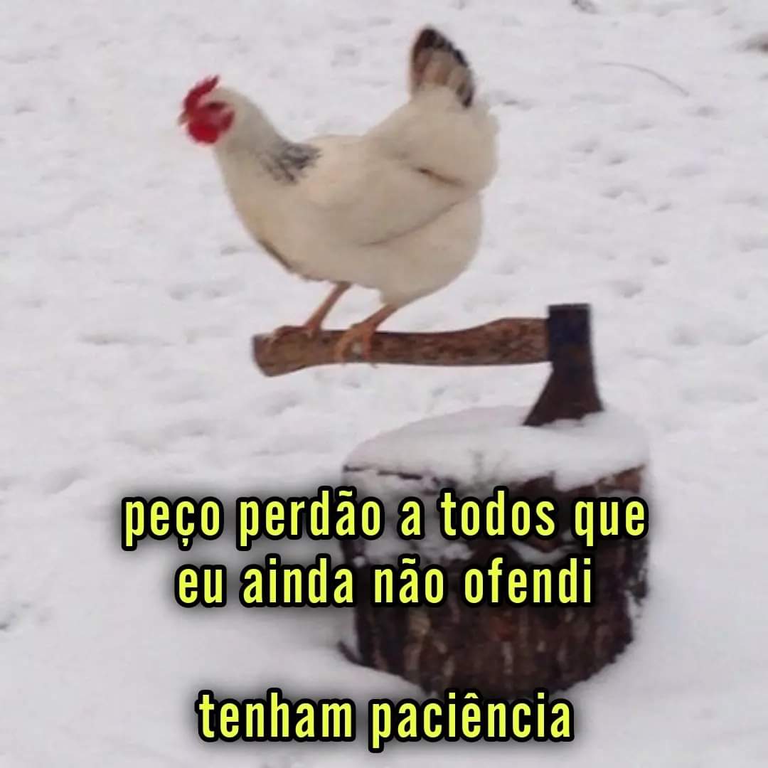reclamando na internet desde 2006 tweet media