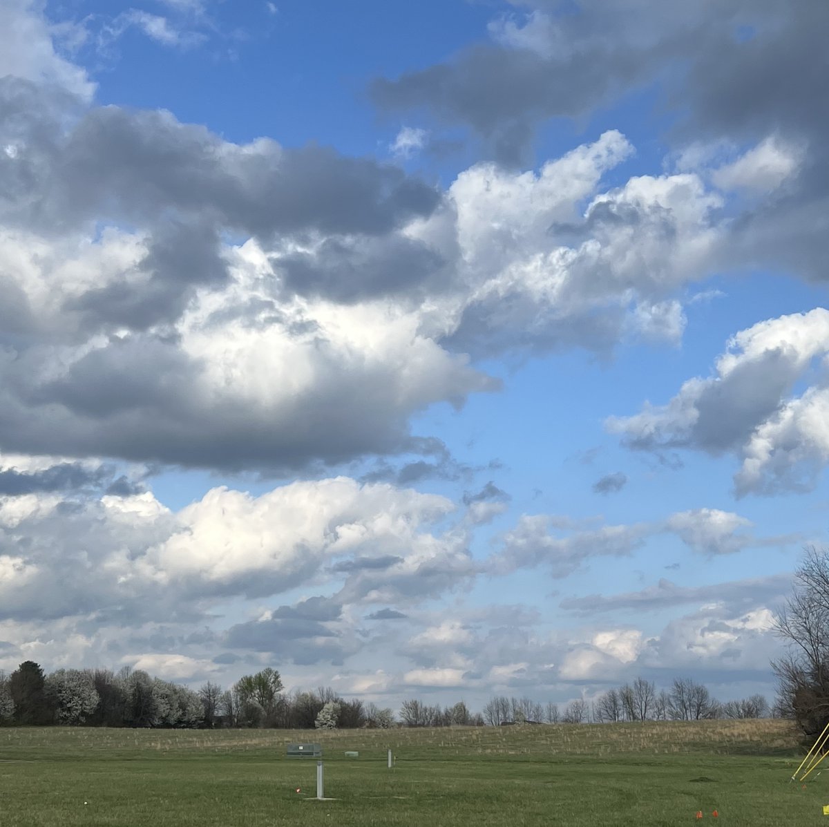 andrewisuh's tweet photo. running here has been surreal https://t.co/J4wEFCaGLE