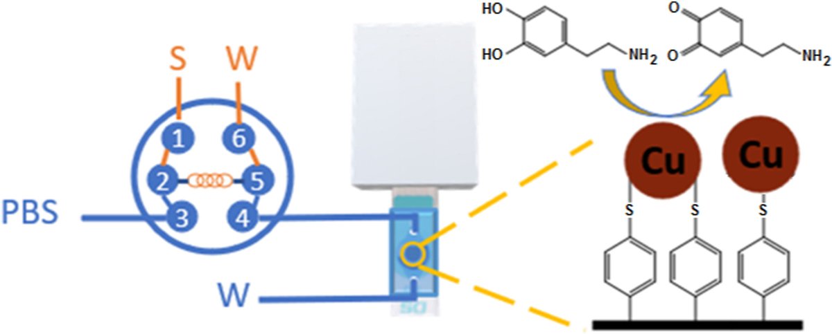 KermanLabUTSC's tweet image. Microfluidic flow injection analysis system for the electrochemical detection of dopamine using diazonium-grafted copper nanoparticles on multi-walled carbon nanotube-modified surfaces, Xue et al., Talanta, 266, 2024, 125030 #TBT 😊
sciencedirect.com/science/articl…