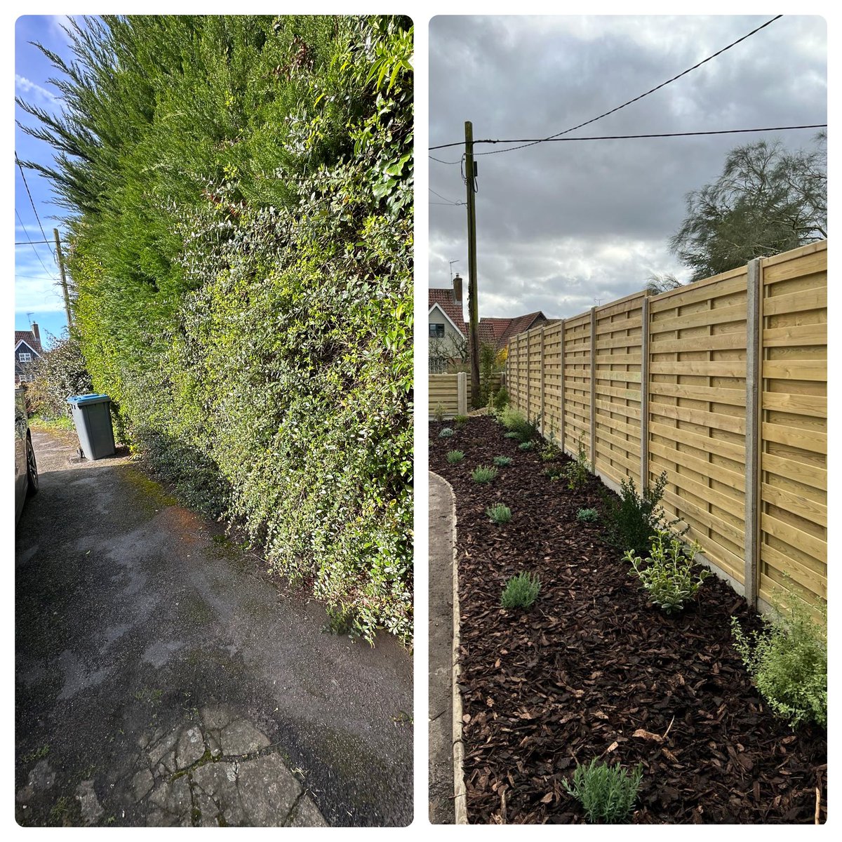 LDCSuffolk's tweet photo. Before and after of a very invasive conifer hedge in Walberswick. https://t.co/HbRKAunsyi