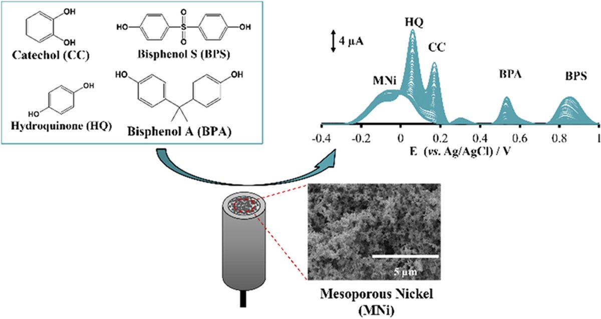 KermanLabUTSC's tweet image. Electrochemical simultaneous determination of hydroquinone, catechol, bisphenol A, and bisphenol S using a novel mesoporous nickel-modified carbon sensor, Xue et al., Chemosphere, 342, 2023, 140003 😀sciencedirect.com/science/articl…