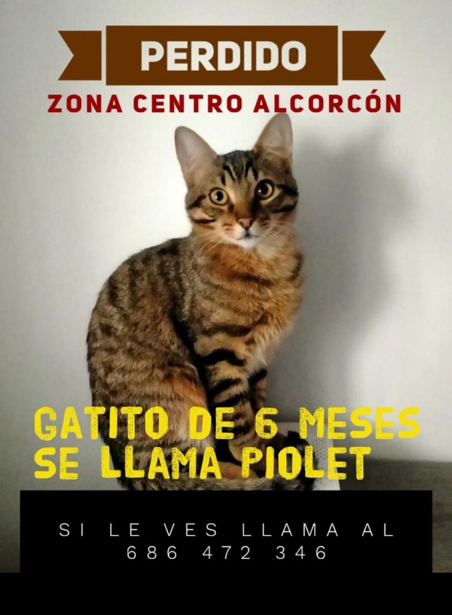 Cris Carballo tweet media