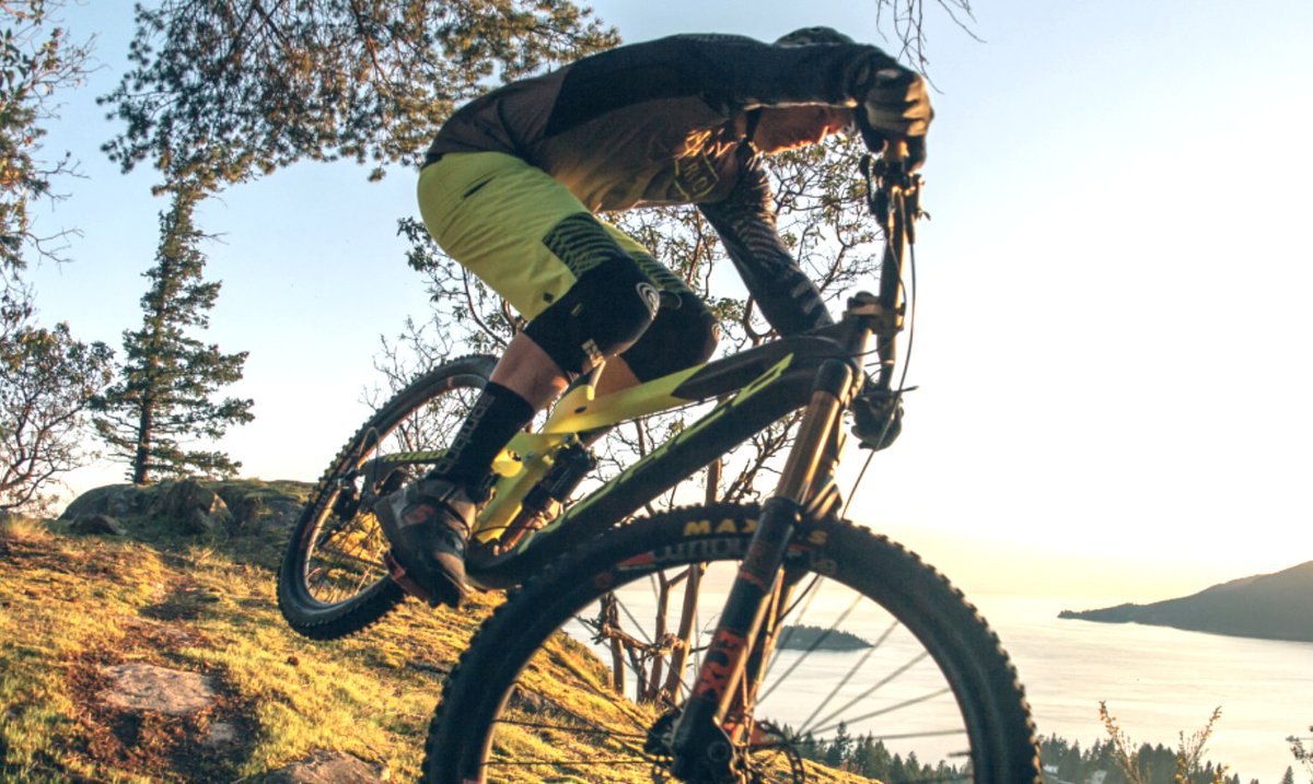 ebikes-international tweet media