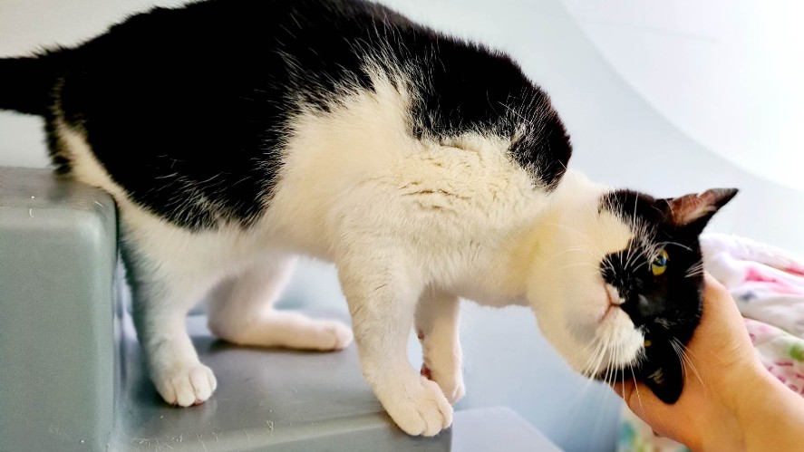 HudResearch (@weloveresearch) on Twitter photo A new report led by <a href="/tomjsimcock/">Dr Tom Simcock</a> & <a href="/Hud_HHS/">School of Human and Health Sciences</a>, commissioned by animal welfare charity <a href="/Battersea_/">Battersea</a>, reveals clear financial benefits of renting to pet owners and as well as dispelling myths about pets and assumed damages.
Read More: hud.ac/rnu A new report led by <a href="/tomjsimcock/">Dr Tom Simcock</a> & <a href="/Hud_HHS/">School of Human and Health Sciences</a>, commissioned by animal welfare charity <a href="/Battersea_/">Battersea</a>, reveals clear financial benefits of renting to pet owners and as well as dispelling myths about pets and assumed damages.
Read More: hud.ac/rnu