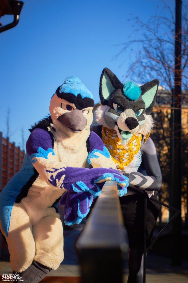 DorokiDarogan (Dexx) (@dorokidarogan) on Twitter photo Bit late to the party, but! Happy #FursuitsFriday 😊💜
📸: <a href="/vincehooves/">Vincent🇬🇧🇵🇱 🖊️COMMS OPEN🖊️ 🔜MP🇺🇸</a>
🐄: <a href="/Fumps_The_Folf/">Fumps / Ruadh</a>
🐾: Me! (Bourgir 🍔)
🐺: <a href="/Dyrex8/">Dyrex</a>
🐦: <a href="/BeatBirb/">Mayk</a> Bit late to the party, but! Happy #FursuitsFriday 😊💜
📸: <a href="/vincehooves/">Vincent🇬🇧🇵🇱 🖊️COMMS OPEN🖊️ 🔜MP🇺🇸</a>
🐄: <a href="/Fumps_The_Folf/">Fumps / Ruadh</a>
🐾: Me! (Bourgir 🍔)
🐺: <a href="/Dyrex8/">Dyrex</a>
🐦: <a href="/BeatBirb/">Mayk</a>