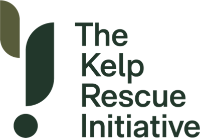 Join our team! We're hiring a full-time Research Assistant to help with our kelp restoration and blue carbon research in partnership with @kelprescue and bluecarboncanada.ca Job ad posted here: juliakbaum.org/join-us Pls RT #ecosystemrestoration #naturalclimatesolutions