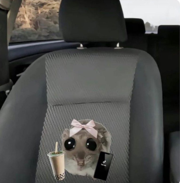 Cuando soy copiloto y doy mal la dirección