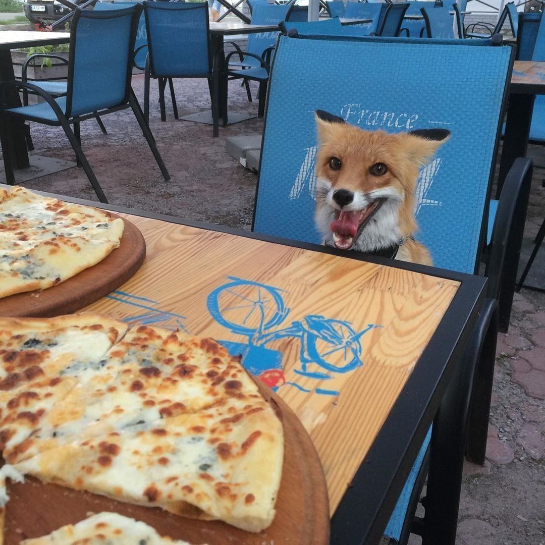 FopsHourly's tweet photo. [🔗](https://t.co/4w4stWteF9) https://t.co/VRJM1kktou