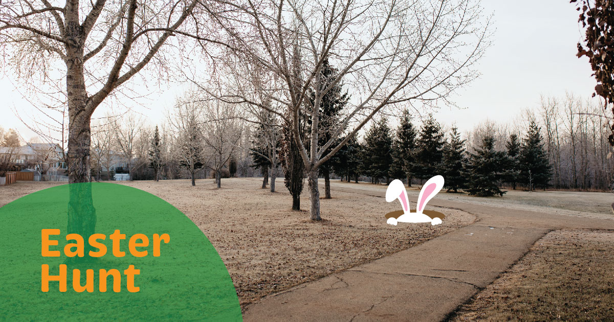 Calling all egg hunters! Get ready for an egg-citing Easter Hunt starting March 30! Keep your eyes peeled for Easter baskets, eggs, and other goodies hidden in public places around town. Don’t miss out on the fun!

Find more info about the Easter Hunt at stonyplain.com/easter