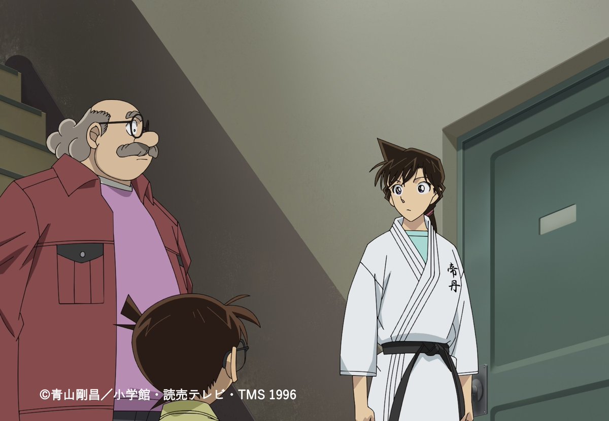 名探偵コナン✰レア ✰FAN'S SELECTION 毛利蘭ちゃん ピンズ