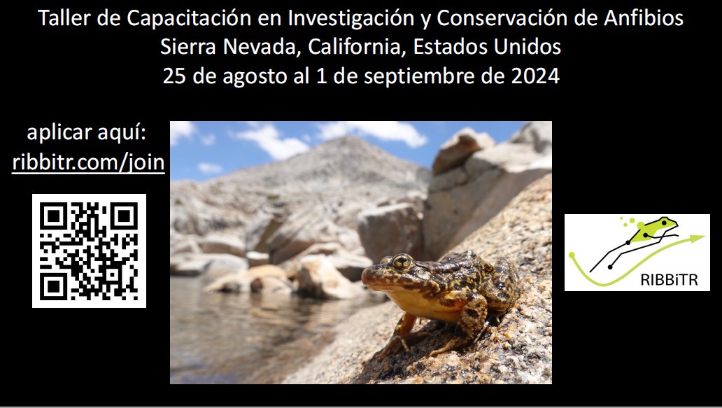 Are you interested in integrative biology and amphibian conservation? RIBBiTR is hosting a training workshop at SNARL in California for grad students and postdocs! Applications accepted in English, Português, and Español. Application deadline: April 5, 2024