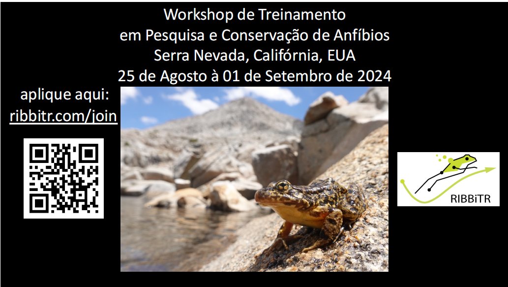 RIBBiTR BII tweet media