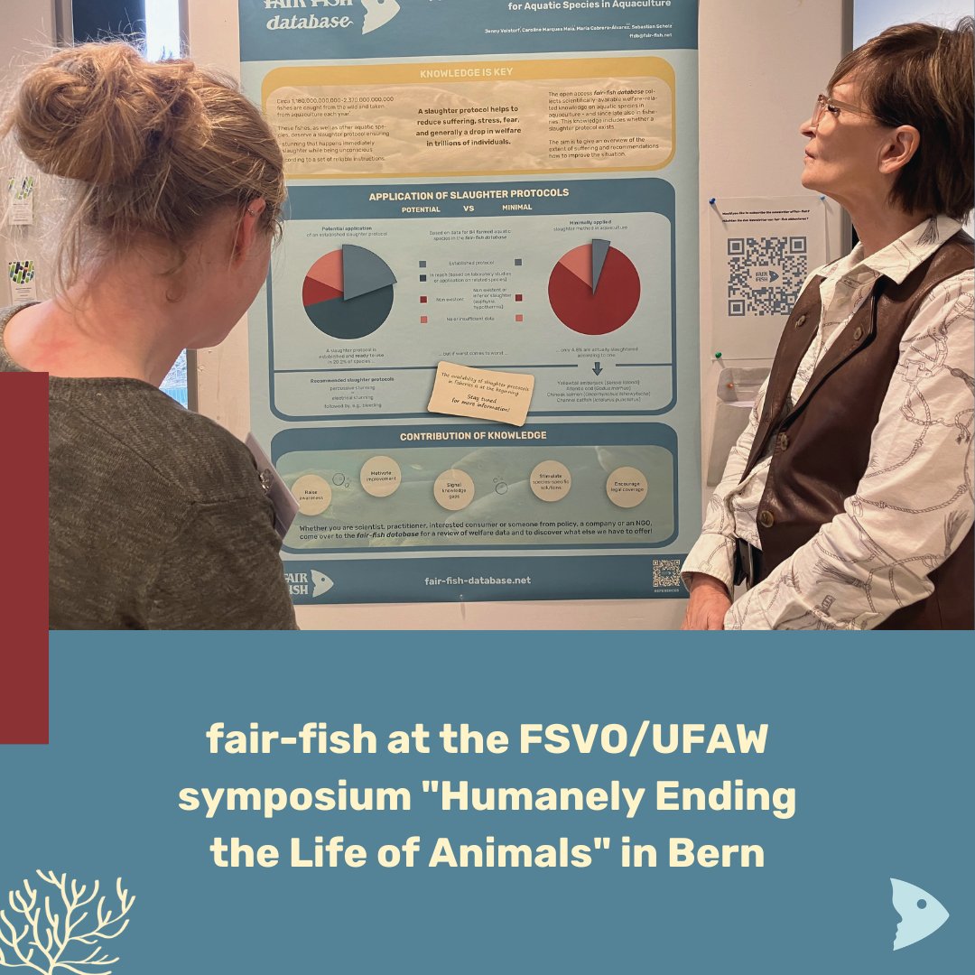 🌊 Last week, fair-fish attended the 'Humanly Ending Life of Animals 2024' symposium in Bern, discussing the humane treatment of aquatic species. More info: fair-fish.net #fairfish #BLVUFAWSymposium #AnimalWelfare #Sustainability #Bern