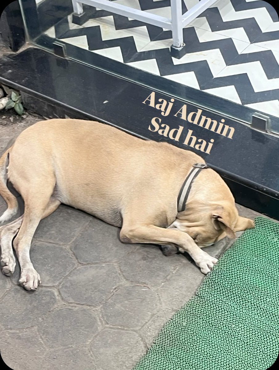 Gravero (@iamgravero) on Twitter photo 