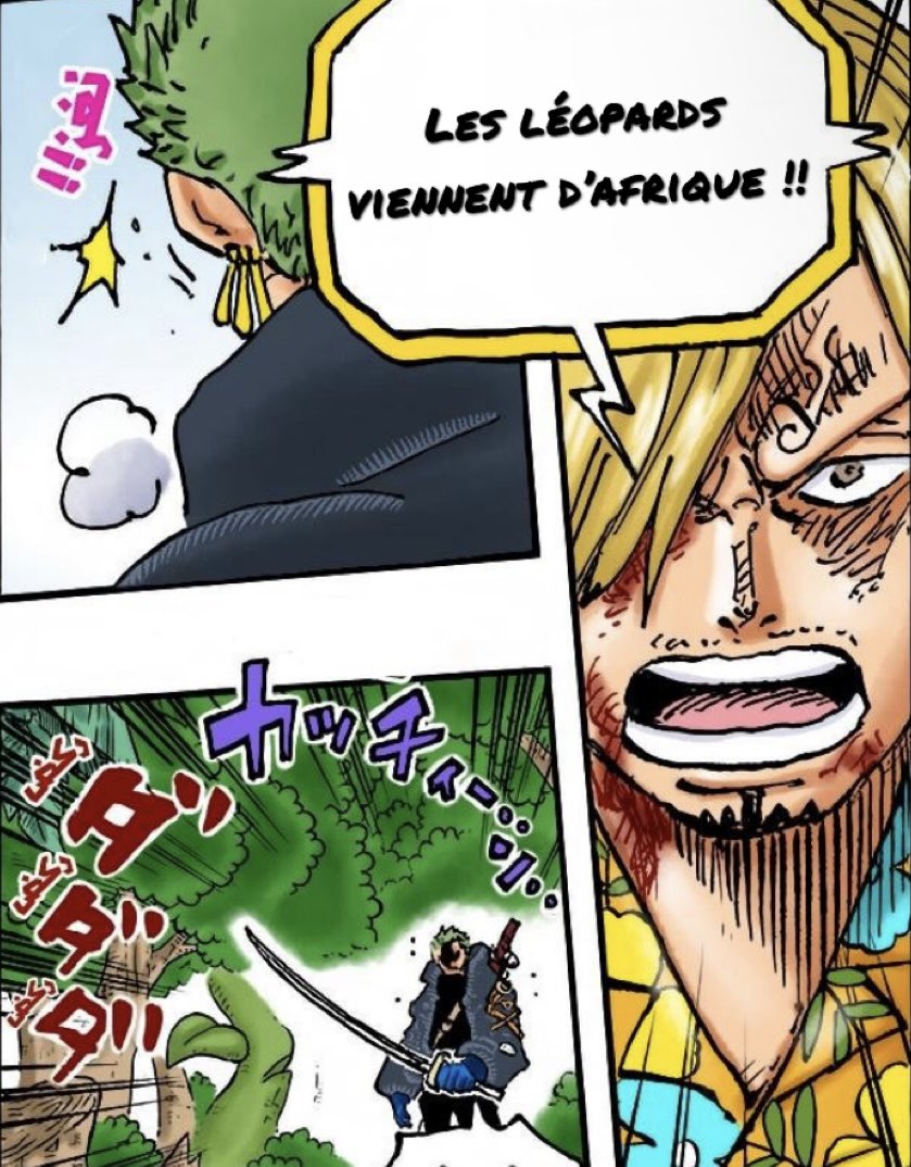TeachSama_'s tweet photo. Zoro a OS lucci quand Sanji lui a dit l’origine des léopards #ONEPIECE1110 https://t.co/7LWudCJzBC
