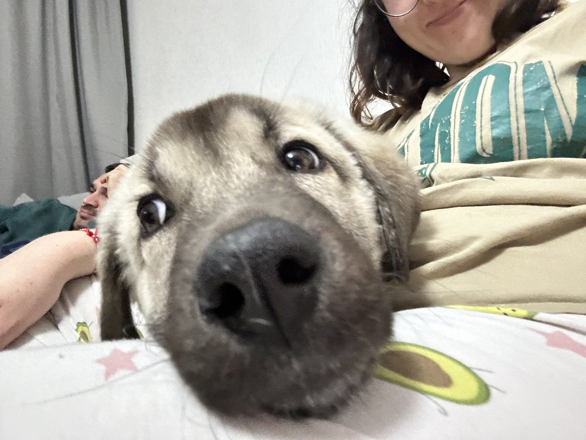 Ona yuva olmayanlar kudurabilir💅🏻