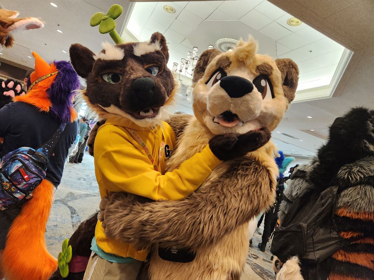 NickelTheBear's tweet image. Some pics from #TFF24 

#FursuitFriday
#Fursuit
#Furry