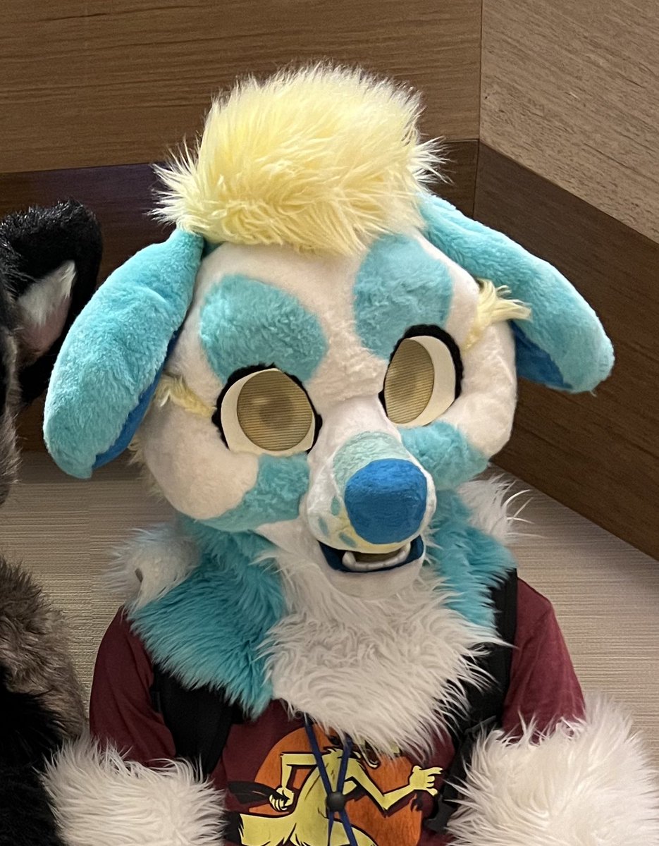 FurryRomo's tweet photo. URGENT MY HEAD IS MISSING AT TFF , LAST SEEN AT LINE STAR ROOM A/B DURING CK9C CONCERT #TFF2024 https://t.co/SZH55IhU0y