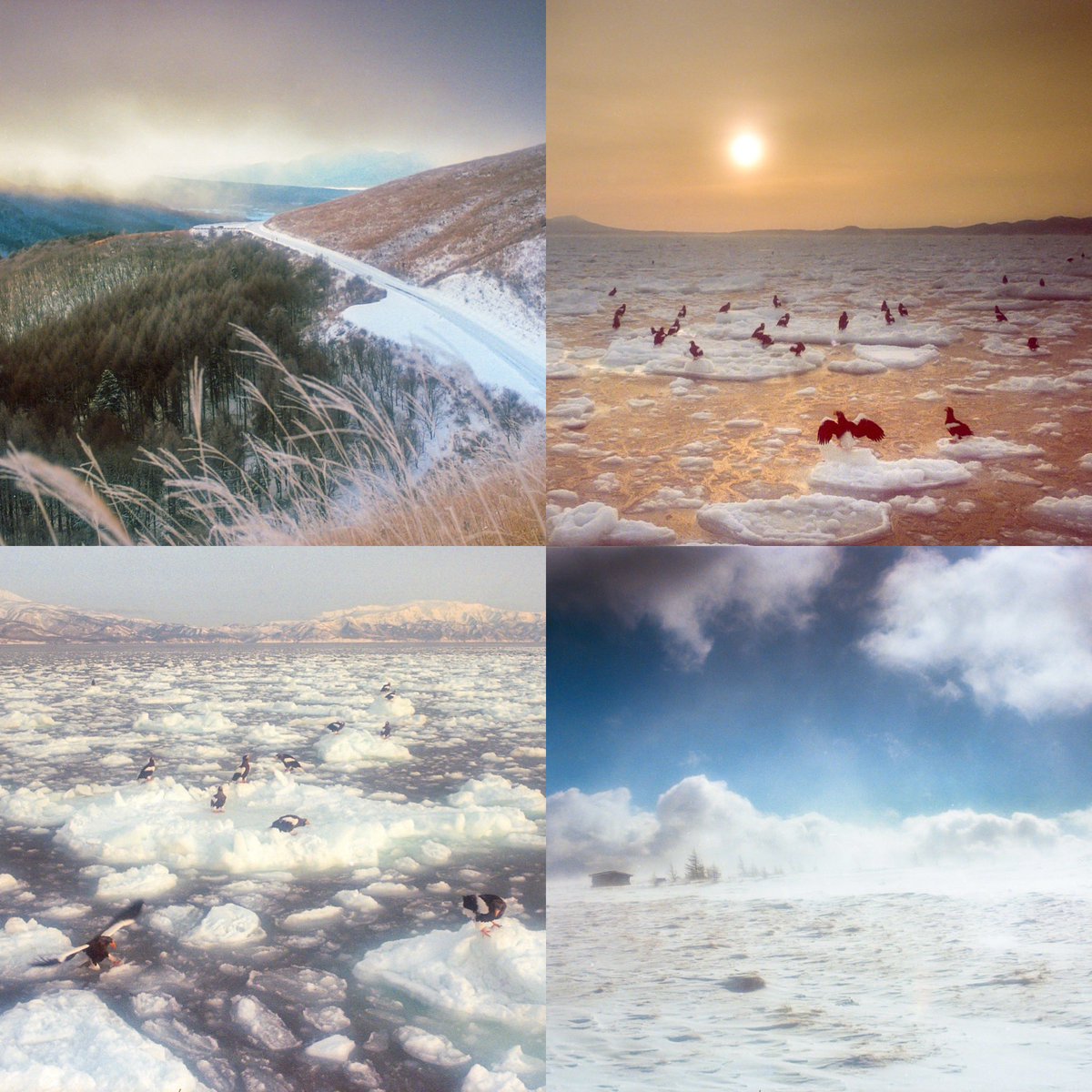 Winter Wonderland 2024 ep.3