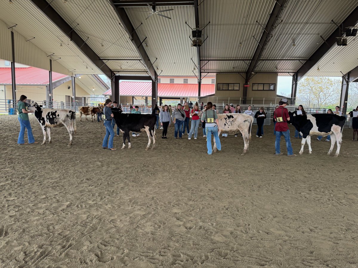 ncca_animalsci's tweet photo. Some of our FFA kids volunteered to assist at the State Dairy Judging CDE today at the FFA Camp. Great job guys! #myncca #spiritprideexcellence #nccaffa #dairyjudging #cde #ffacamp https://t.co/1D7fGvp8KN