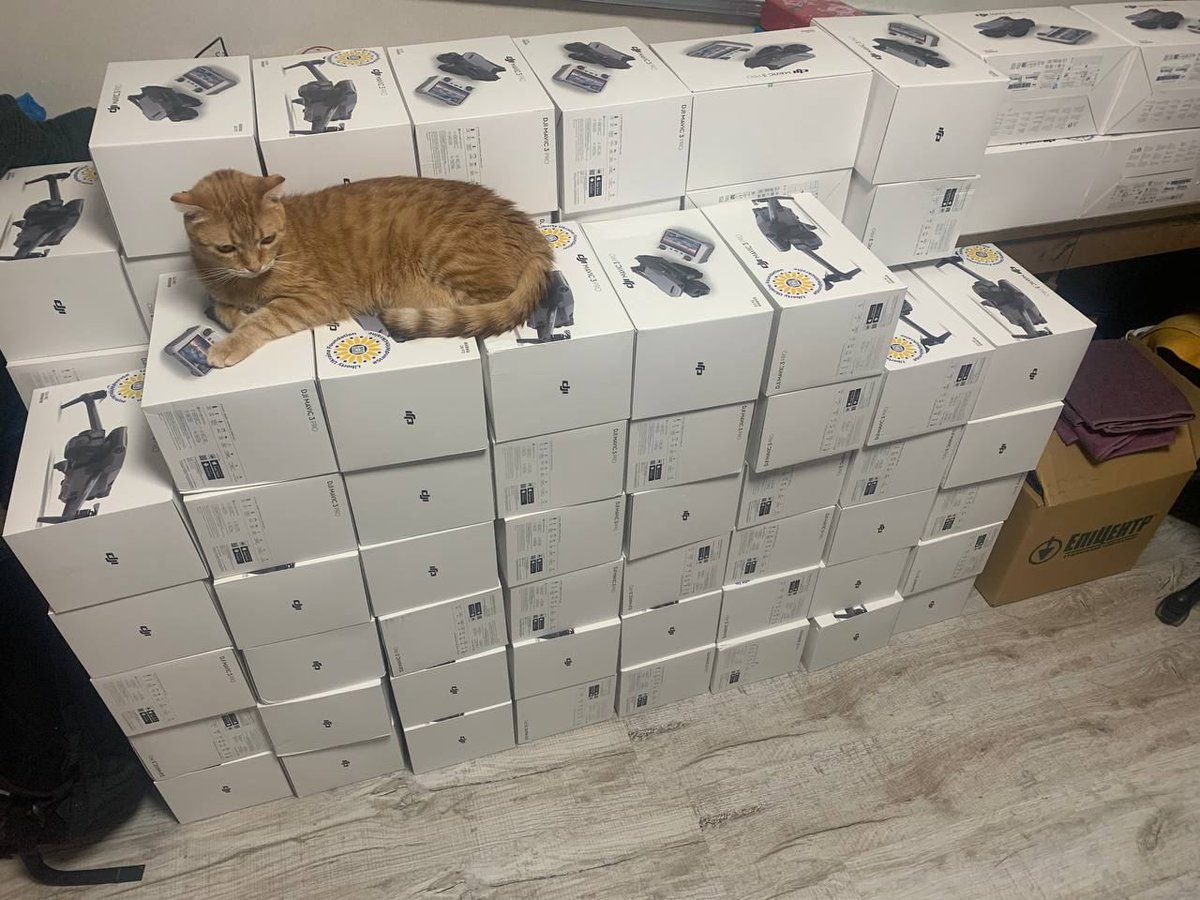 Teoyaomiquu's tweet photo. Great news, @LibertyUkraineF warehouse in Kharkiv received a new batch of drones, 68 of them! And we hired a new security guard to keep them safe -> see the picture.

If you want to donate to my next drone delivery project, you can make a donation by following the link: https://t.co/C1BVbfWTem
