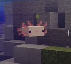 ComunidadeMc tweet media