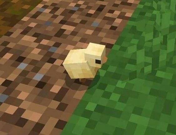 ComunidadeMc tweet media