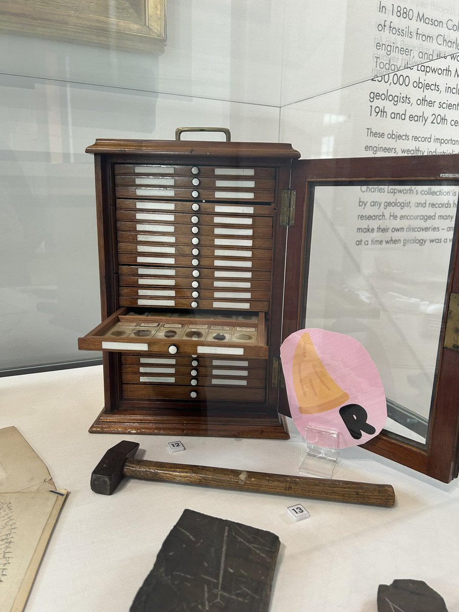 theKTextinction's tweet photo. a lovely trip to the @lapworthmuseum today, featuring two of my favourite things: tiny skulls and tiny slide cabinets! https://t.co/fKbTp7Ct8N