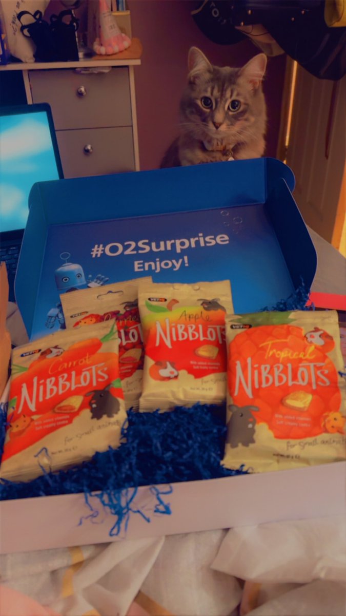 aimes_wilson's tweet photo. I cannot believe the generosity and thoughtfulness of @O2 right now!!! 🤯Massive thanks to the #O2Surprise team from me, Ruby, and the bunnies 🐾 😘 https://t.co/U7J0FSJMX7