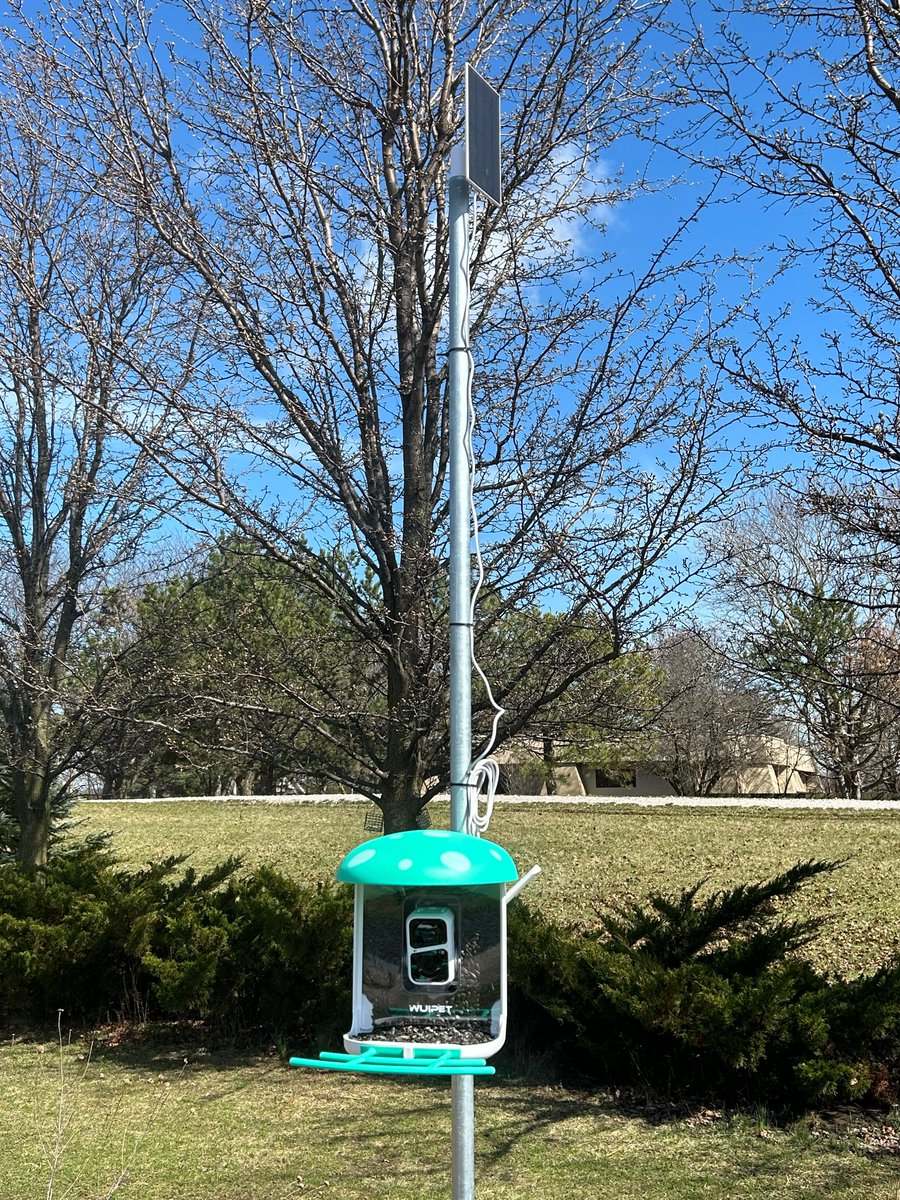 We are so very thankful for the partnerships in our community that provide such amazing opportunities for our students!! Thank you @ToledoZoo for this wonderful bird feeder for our students to view how birds visit our Urban Prairie!!! @Coy_Rams