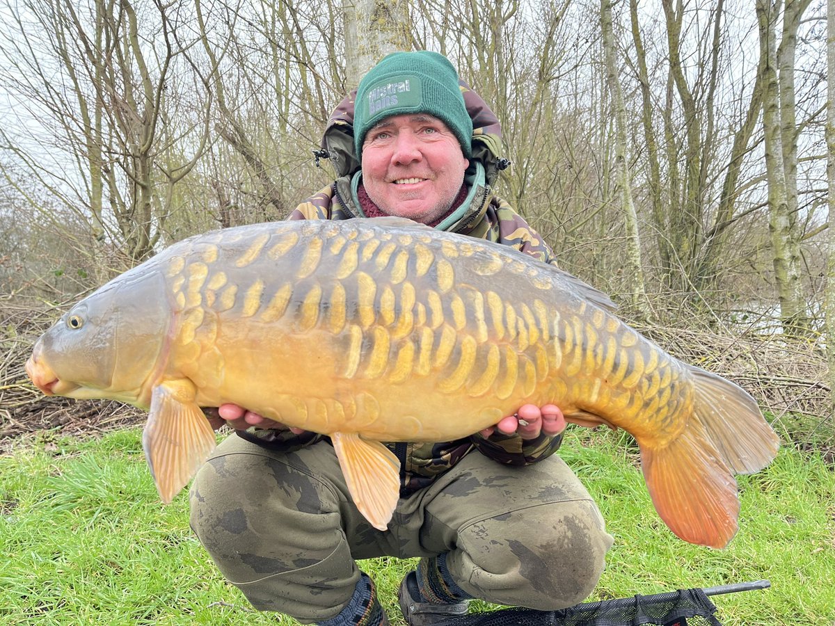 Scaley mirrors are just the best.