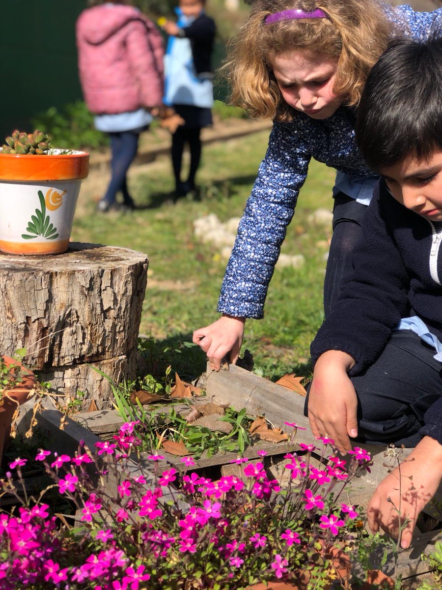 escolapiasSE's tweet photo. Con las primeras flores vuelven los talleres a los patios inclusivos de los jueves. ¿Te apuntas?🪴 

#321Despierta #HagamosECOescolapias #Escolapiassantaengracia #Primaria #Recreando https://t.co/rPW3DB50LY