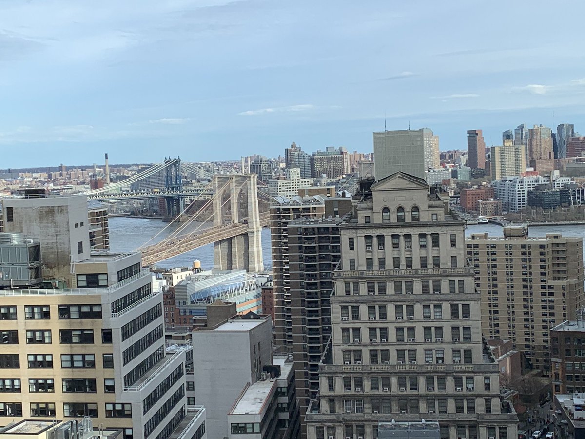 Michael Bradley tweet media