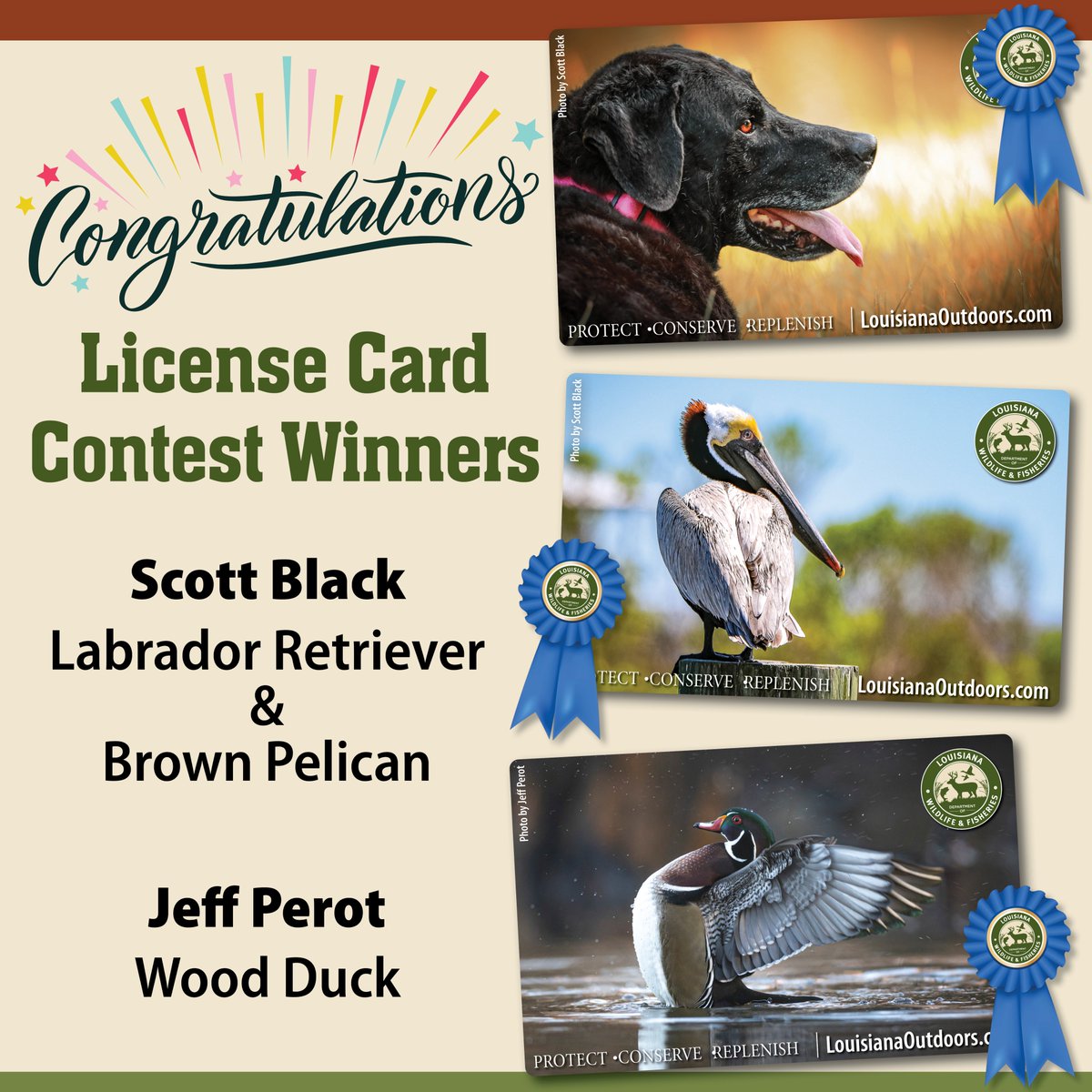 We are happy to announce that the winners of our durable license card contest are Scott Black and Jeff Perot. Congratulations! LDWF will begin selling these collector’s license cards for $5 (plus a $3.50 convenience fee) as soon as next month. Thanks to everyone who participated!