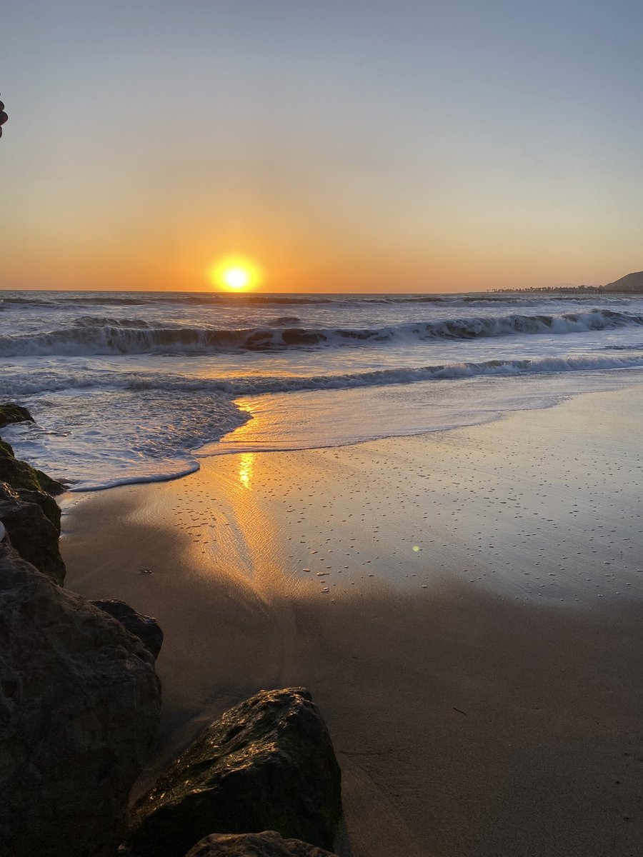 Lindsey Jackson Pale, PhD tweet media