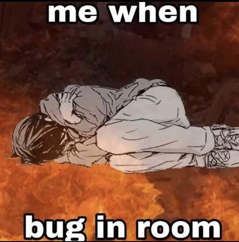 ✧ (@northstardoll) on Twitter photo 