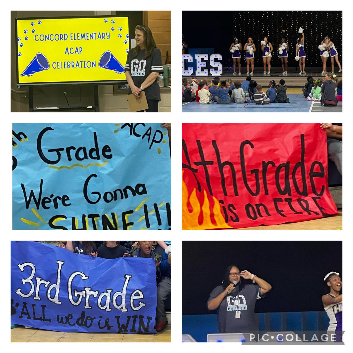 Dr. Lisa Holmes 🥋 tweet media